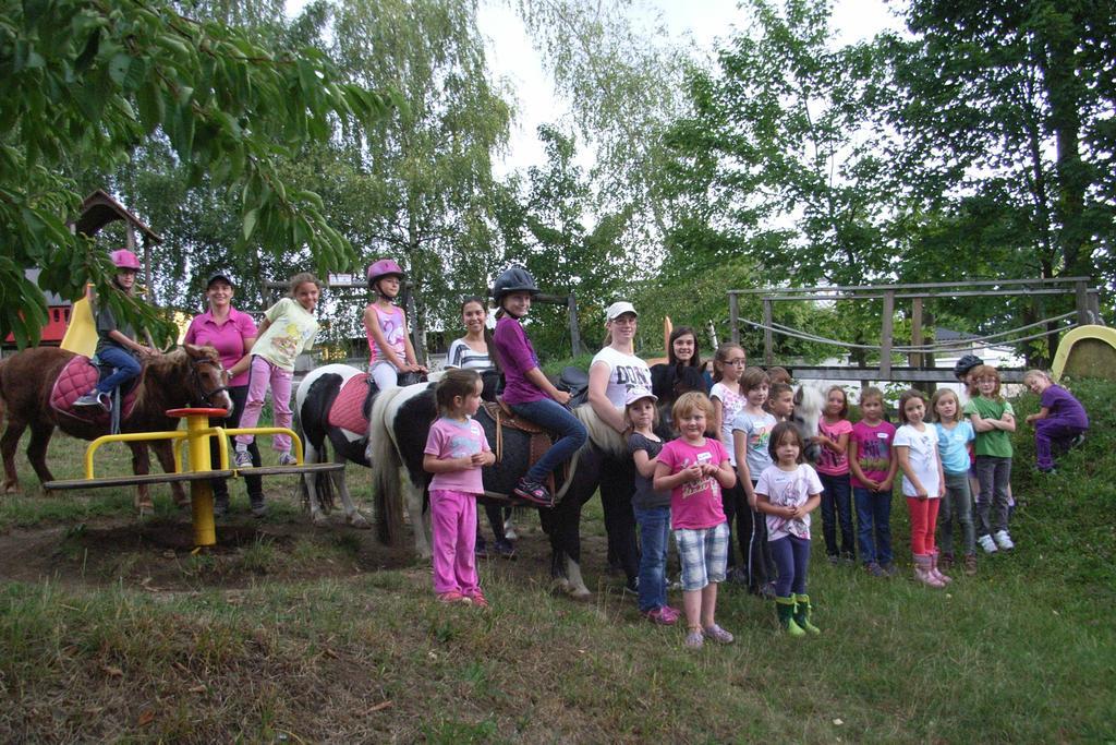 Pension & Reitstall Inghofer ハイデンライヒシュタイン エクステリア 写真