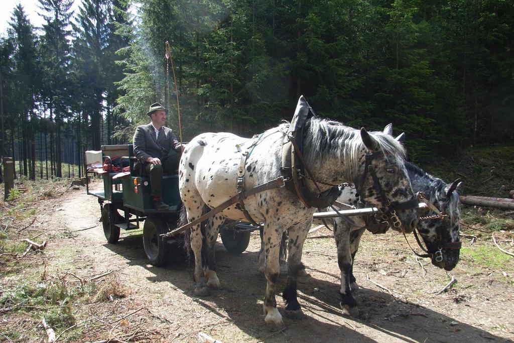 Pension & Reitstall Inghofer ハイデンライヒシュタイン エクステリア 写真